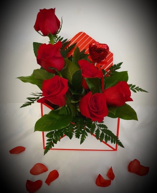6 red Roses and foliage in an envelope box
