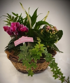 Mother's Day side handle planter